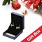 Austrian Crystal Heart Drop Dangle Earrings for Women 925 Sterling Silver Hook Hypoallergenic Earring (Vitrail Light)